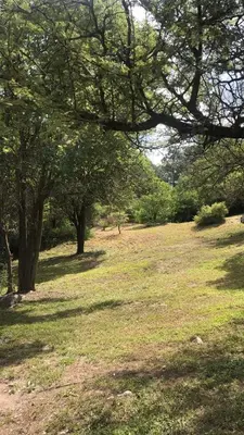 a field of grass with trees in a park at Cabaña Tala Huasi in Villa Icho Cruz