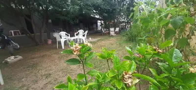 a yard with white chairs and a table and trees at La Arcadia in Mina Clavero