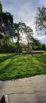 a large tree in a park with the sun shining at Posada Los Cerros in Luján