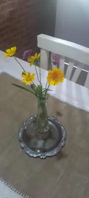 a vase with yellow flowers on a table next to a bench at Ares cabaña de campo- Rincón de Afrodita in San Lorenzo