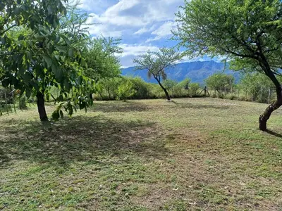 a field with trees and mountains in the background at Casa Despertares - Las Rabonas in Mina Clavero
