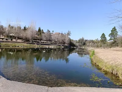 a river in a park with trees in the background at Silencio Dorado in Villa Serranita