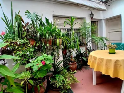 a room with a table and lots of plants at Habitación privada zona Centro, Tribunales y Patio Olmos in Cordoba