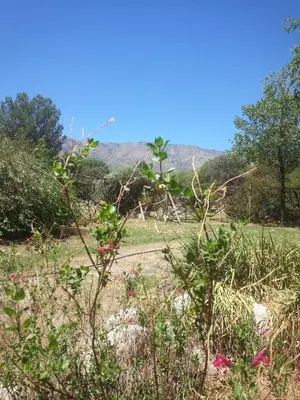 a view of a field with mountains in the background at Cielito lindo in San Javier