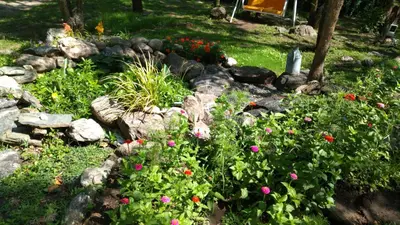 a garden with rocks and flowers in a yard at Dorado del Sol in Merlo