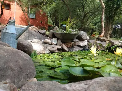 a garden with a pond with lilies and a fountain at Dorado del Sol in Merlo