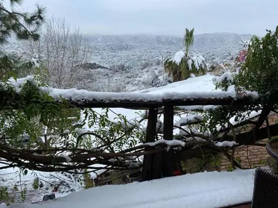 a fence covered in snow with a tree branch at Casa de ensueño in Villa Carlos Paz