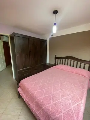 a bedroom with a pink bed and a wooden cabinet at alquiler temporario en Mina Clavero in Mina Clavero