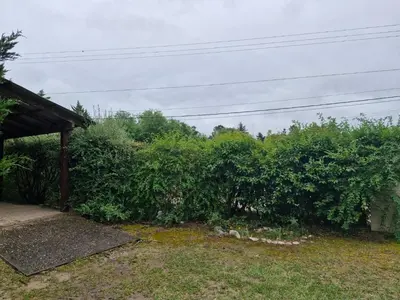 a hedge of bushes next to a house at Lo de Juan in Villa General Belgrano