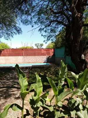 a tree and some plants in front of a pool at Casa con piscina en entorno muy verde in Villa Anizacate