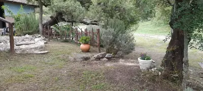 a garden with a fence and two potted plants at Cabaña LA LUGARDA in Cuesta Blanca