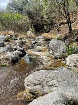 a stream of water with rocks and trees on a hill at Ser Monte Hospedaje in La Población