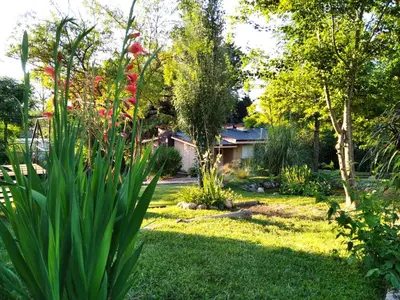 a garden with flowers and plants in a yard at Viejo Camino Real in Santa Rosa de Calamuchita
