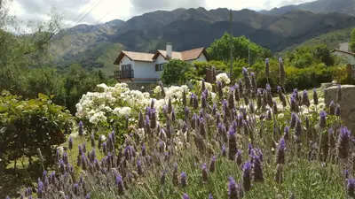 a field of flowers in front of a house at INCA HUASI - Cabañas de Altura in El Rincón