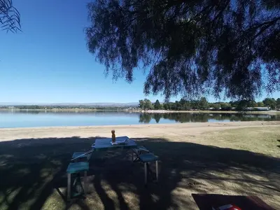 a picnic table under a tree next to a lake at Potrero Loft in Potrero de Garay