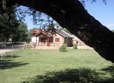 a large yard with a house and a large tree at Cabañas Raices in Mina Clavero