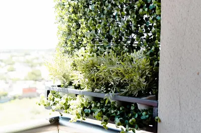 a vertical garden with plants in a window at TempoHome in Cordoba
