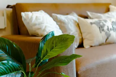 a close up of a couch with pillows and a plant at TempoHome in Cordoba