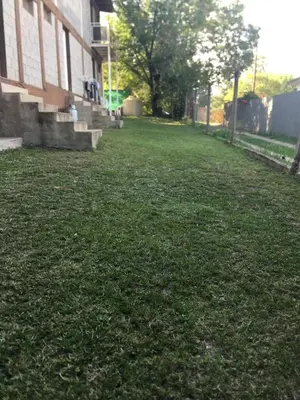 a field of grass next to a building at Apartamentos Dorothy in Villa Santa Cruz del Lago