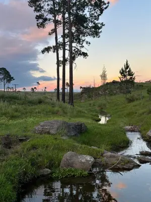 a creek in a field with trees in the background at LaJu in Villa Yacanto