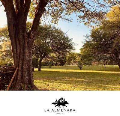a picture of a tree in a park at La Almenara Lodge in Villa General Belgrano