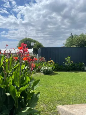 a garden with red flowers and a fence at Mi casita en Embalse in Embalse