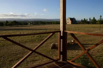 an open gate in a field with sheep in it at Complejo de cabañas- Lomas del Sol in Los Reartes