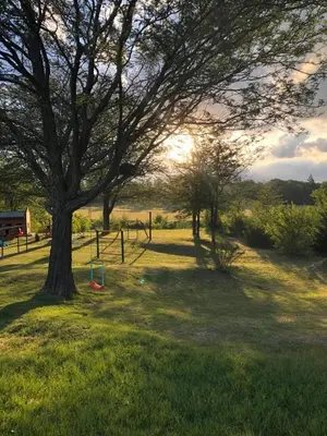 a park with a tree and a playground in the grass at Complejo de cabañas- Lomas del Sol in Los Reartes