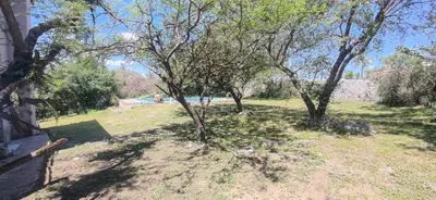 a yard with trees and a pool in the background at Casa villa el diquecito in La Calera