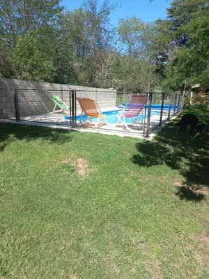 a dog standing in the grass near a swimming pool at La Soñada in Villa Quillinzo