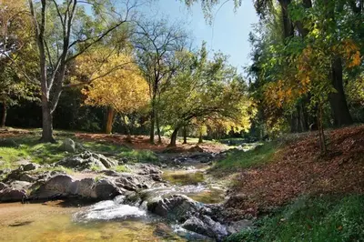 a river with rocks and trees on a field at HOSTEL CASA C Alojamiento, Coworking y Centro Cultural in Villa General Belgrano