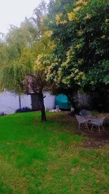 a table and bench under a tree in a field at Casa hasta 5 personas in Villa Carlos Paz