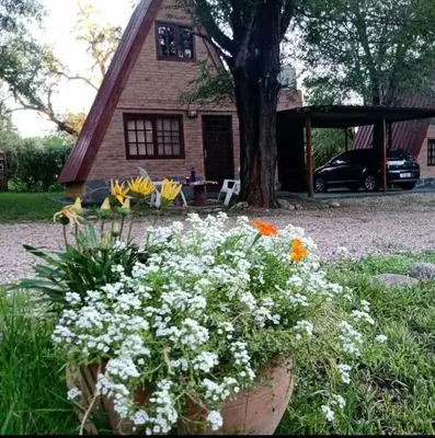 a pot of flowers in front of a house at Cabañas Valle Dorado in Villa Rumipal