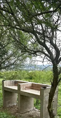 a bench sitting under a tree in a field at Complejo MASVISTA in San Antonio de Arredondo
