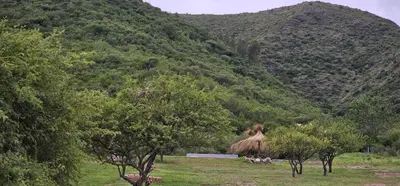 a woman standing in a field with trees and a mountain at Complejo MASVISTA in San Antonio de Arredondo