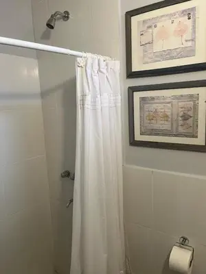 a bathroom with a shower curtain and a picture at Spilimbergo's Home in Cordoba