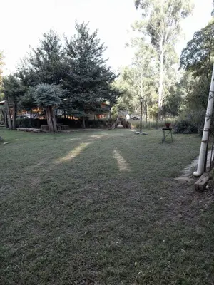 a grass field with a picnic table and trees at La Rustica in El Durazno