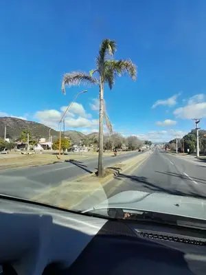 a car driving down a road with a palm tree at Los gigantes posada in Villa Carlos Paz