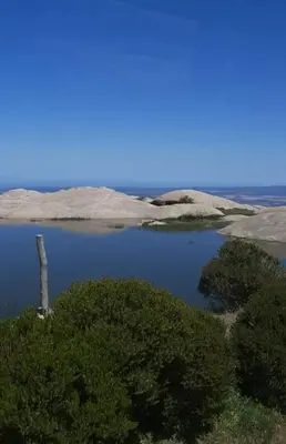 a lake with a tree in the middle of a field at Casa D&M in Mina Clavero