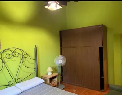 a bedroom with a bed and a green wall at Casa D&M in Mina Clavero
