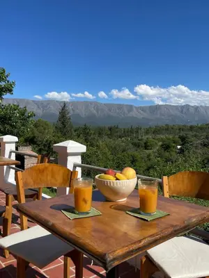 a wooden table with a bowl of fruit and two glasses of orange juice at La casona del rio in Nono