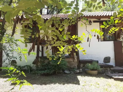 a house with a tree in front of it at Cabañas Franca Austral in Santa Rosa de Calamuchita