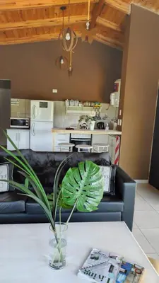 a plant in a vase on a table in a living room at LunaNegra Casas de descanso in Villa General Belgrano