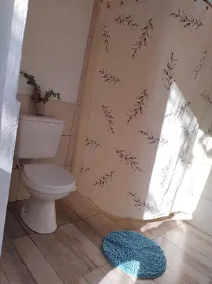 a bathroom with a toilet and a rug on the floor at Sens EcoRefugio in Villa Carlos Paz