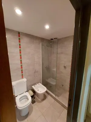 a bathroom with a toilet and a shower at Depsal XVII 130 in Cordoba
