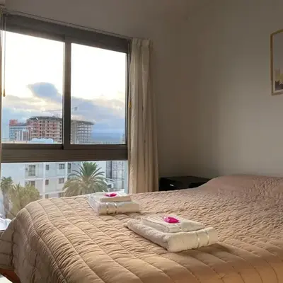 Departamento 2 dorm Myng