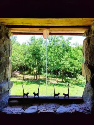 a group of four cats sitting on a window sill at Cabaña Maitane in El Durazno