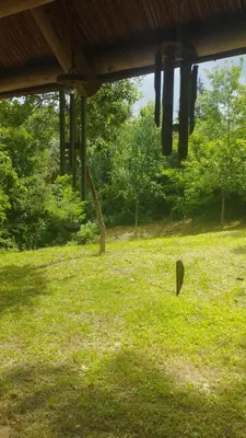 a view of a field of green grass with trees at Cabaña Maitane in El Durazno