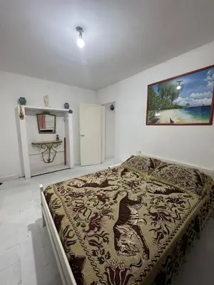 a bedroom with a large bed with a painting on the wall at Departamentos Las Termas de Brochero in Villa Cura Brochero