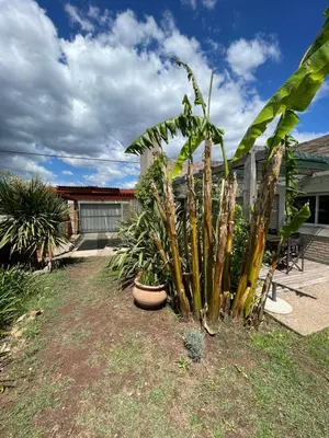 a group of plants in front of a house at Casa Rumipal in Villa Rumipal